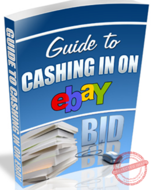 Guide To Cashing In On Ebay ! - ExcelReads